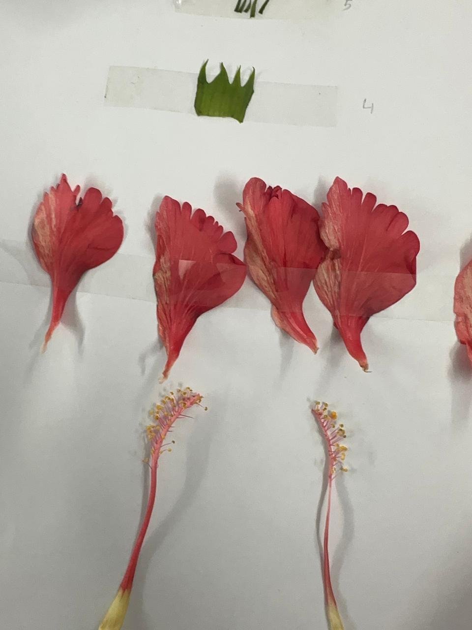 Biology By Sumita practical lab photo