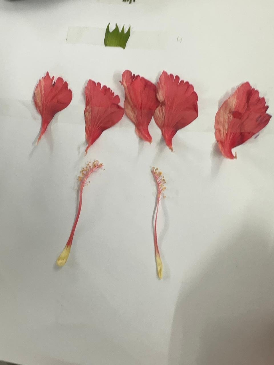 Biology By Sumita hands-on practical lab photo