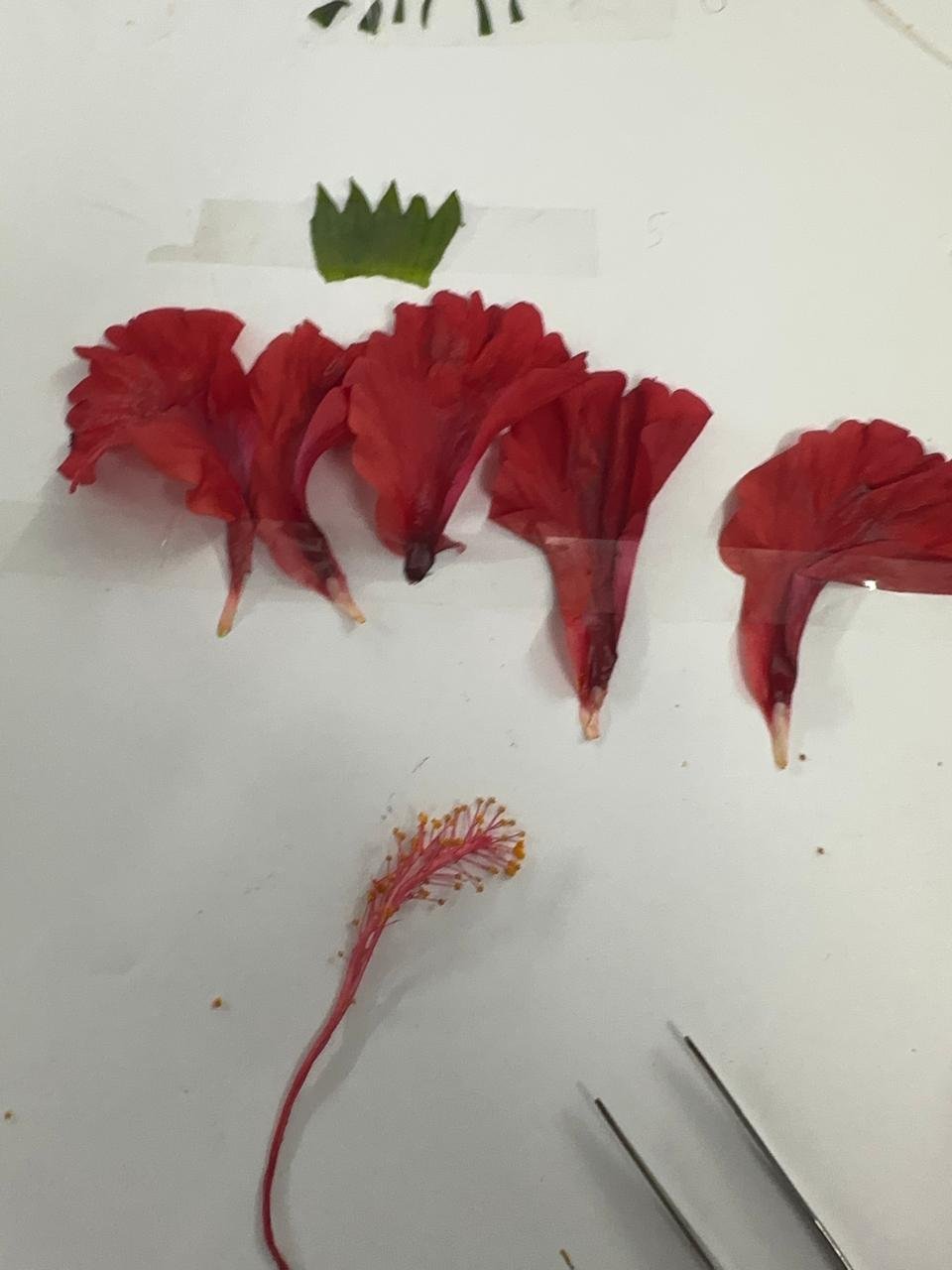 Biology By Sumita hands-on practical lab photo