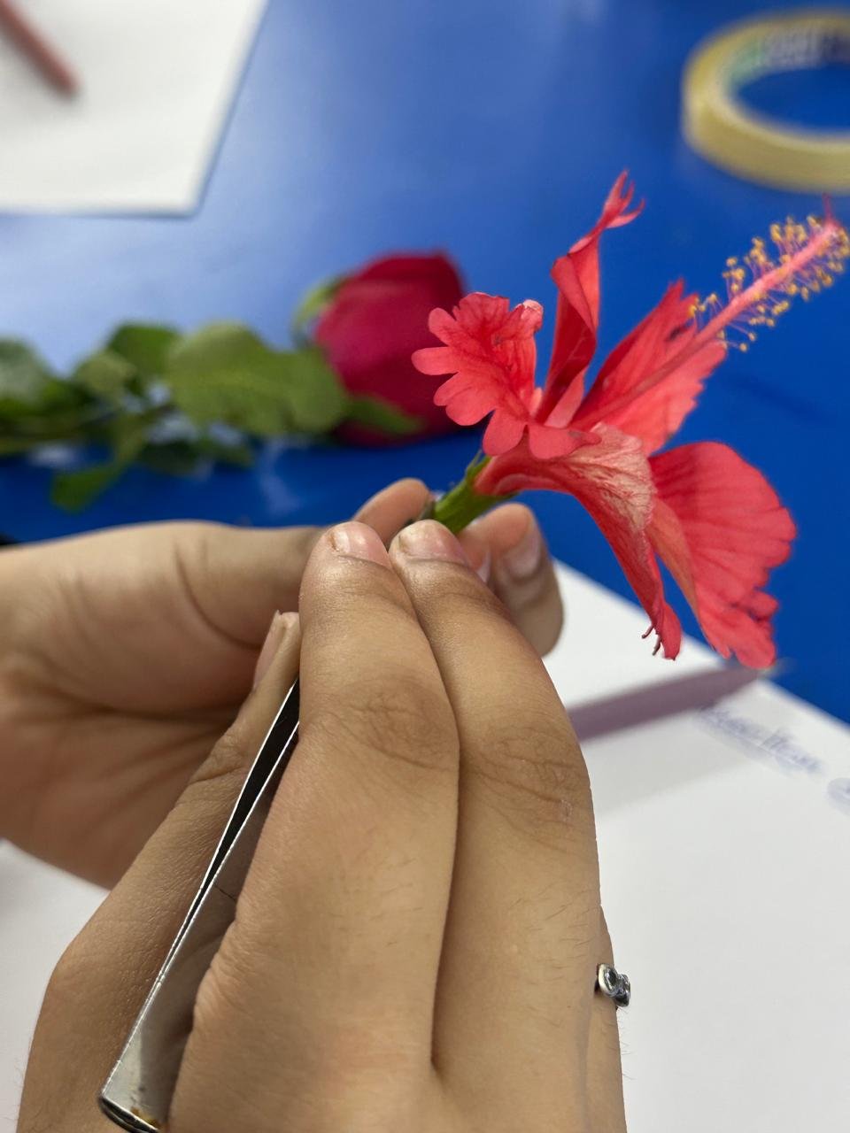 Biology By Sumita hands-on practical lab photo