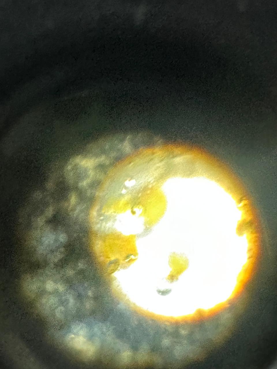 Biology By Sumita hands-on practical lab photo